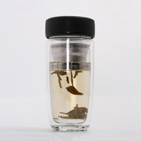Infuseur à thé en verre avec passoire, bouteille d'eau, gobelet à thé en verre à Double paroi, pour thé en vrac, fruits