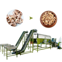 Automatische Cashewnoten Snijden Peeling Beschietingen Cashew Verwerkingsmachine Van Indian Make