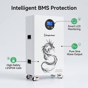 แบตเตอรี่ LiFePO4 51.2V 300Ah 15kWh พร้อมระบบจัดการแบตเตอรี่ในตัว (BMS) ลิเธียมไอรอนฟอสเฟต สำหรับเก็บพลังงานแสงอาทิตย์แบบไฮบริด - Product Image 1