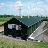 Estructura de Acero Moderna y Duradera para Granjas Avícolas, Galpón Versátil para Gallinas/Corrales para Granjas