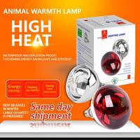 Lampe chauffante LED dorée de qualité supérieure, résistante à la chaleur, pour élevage avicole, diamètre Sola, pour bétail et veaux