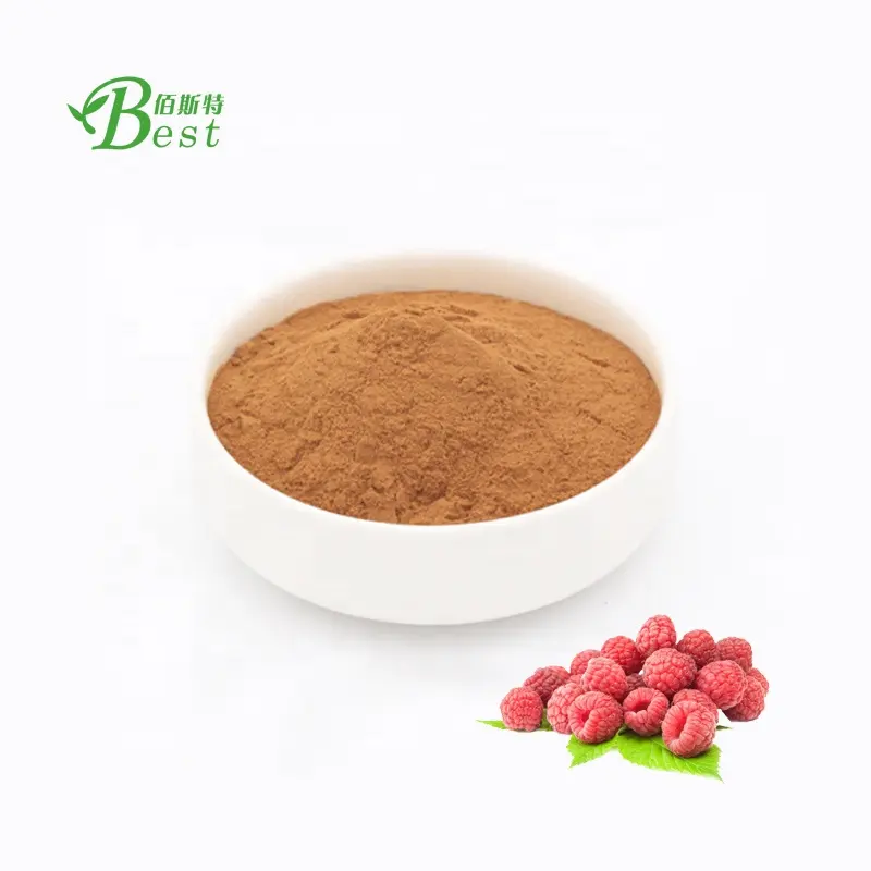 Nhà máy cung cấp số lượng lớn natuoral Hữu Cơ Raspberry extract bột 10x