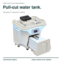 Bac à shampoing mobile portable avec réservoir d'eau extractible et contrôle de la température pour équipement de salon et spa OEM / ODM