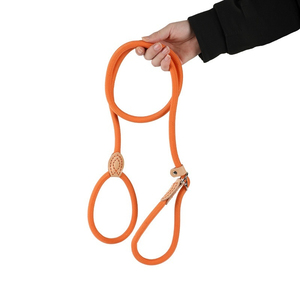 Verstelbare handgreep handsfree slip lead hondenriem voor grote en middelgrote honden - Product Image 6
