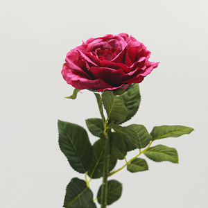 Haute qualité Real Touch thé <span class=keywords><strong>Rose</strong></span> hydratant fleurs artificielles pour noël mariage saint valentin décorations de fête de jardin - Product Image 1