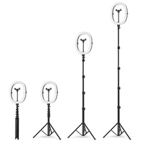 Lumière Portable 12 pouces pour appareil photo DSLR, TikTok Live Dimmable avec Clip de téléphone, support de téléphone pliable avec anneau lumineux blanc clair