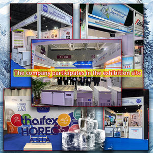 Grande machine à glaçons électrique commerciale avec forme de flocon de neige Glace à flocons personnalisable pour une utilisation à l'hôtel Option d'agent de <span class=keywords><strong>recrutement</strong></span> disponible - Product Image 4