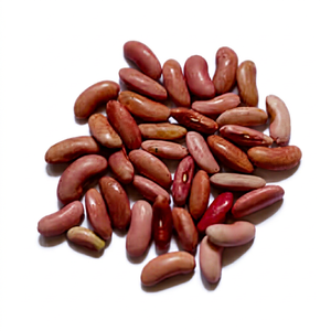 Frijoles Rojos Indios Frescos de Cosecha Reciente, Calidad Premium Natural para Mercados de Exportación al por Mayor, FitTree International, 24 Meses de Duración - Product Image 1