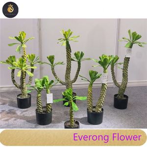 Cây Xương Rồng nhiệt đới cây nhiệt đới Brazil Keel cây nhân tạo lớn trong nhà - Product Image 2