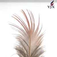 Plumes de poulet rouges naturelles pour la création de boucles d'oreilles, d'ailes, de attrape-rêves, d'activités créatives, de projets, de décorations de mariage, de fêtes et de maison