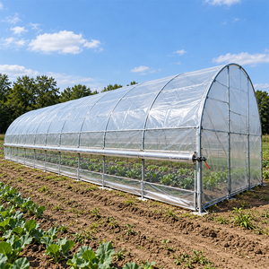 Serre agricole à simple travée avec structure en acier et couverture en film plastique pour la culture des légumes - Product Image 1