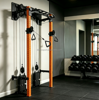Entraîneur de câbles mural pliable, système à double poulie avec pile de poids, compatible avec plusieurs accessoires pour la remise en forme à domicile
