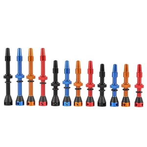 2 valves Presta sans chambre à air en aluminium de qualité supérieure avec noyau amovible <span class=keywords><strong>pour</strong></span> accessoires de jantes de vélo de route et <span class=keywords><strong>VTT</strong></span> - Product Image 3
