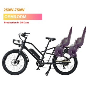 Motor de tracción trasera para bicicleta eléctrica, 500w, 48v, 10ah, entrega de comida en familia - Product Image 2