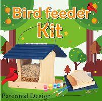 Kits de construction de nichoir en bois avec corde suspendue conception brevetée maison d'oiseau extérieur mangeoire à oiseaux Cage