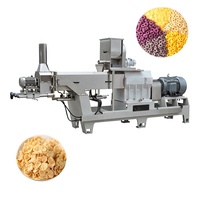 Automatische Industriële Kleine Elektrische Machine Voor Verwerking Tarwe Rijst Cornflakes Voor Fruit Groente Chocolade Friteuse