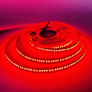 Tira de Luz LED al por Mayor 3000/4000/6000K, 5M/rollo, PCB de 10mm, 240 LED, 12V/24V, SMD 2835, 5m 10m, Tira de Luz Roja para Paisajismo - Product Image 6