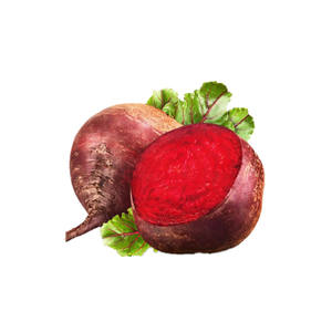 Cấp thực phẩm 20:<span class=keywords><strong>1</strong></span> Đỏ củ cải gốc củ cải đường nước trái cây chiết xuất bột củ cải chiết xuất từ rễ Đỏ củ cải đường chiết xuất - Product Image 2