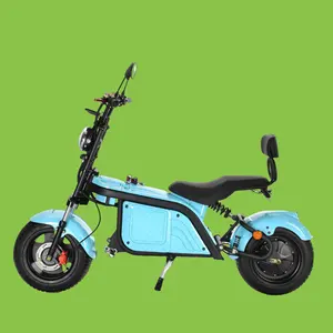 China Factory Wholesale Cool Motorcycle 2000W -8000W Adults Fantastic Electric Motorcycle With High Speed