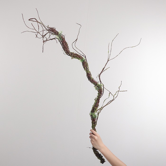 Plante aquatique à longues tiges avec branches mortes, 140 cm de diamètre