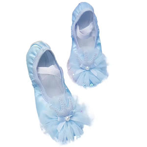 <span class=keywords><strong>2023</strong></span> belle princesse semelle souple Ballet danse chaussure enfants chat griffe Satin ballerine exercices chaussures Ballet pantoufles pour les filles - Product Image 5