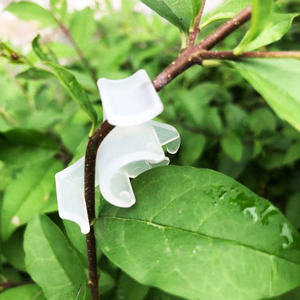 Pince de Traine de tige de <span class=keywords><strong>plante</strong></span> en gros d'usine pour permettre plus de lumière et de flux d'air, pince de cintreuse de <span class=keywords><strong>plante</strong></span> pour la formation à faible Stress - Product Image 2