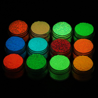 Poudre de paillettes lumineuse, paillettes holographiques brillantes dans le noir, pigment fluorescent, art des ongles, PET durable, taille personnalisée, décoration DIY