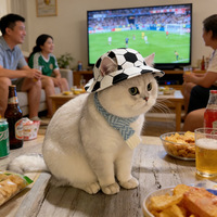 Accessoires pour animaux de compagnie à motif football peint, toutes saisons : Chapeau de soleil respirant à cache-oreilles pour chat et chien, réglable, style pêcheur, et ensemble collier