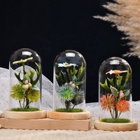 Mini plante verte en verre sur dôme, décoration de maison, micro-andscape, bureau, bureau