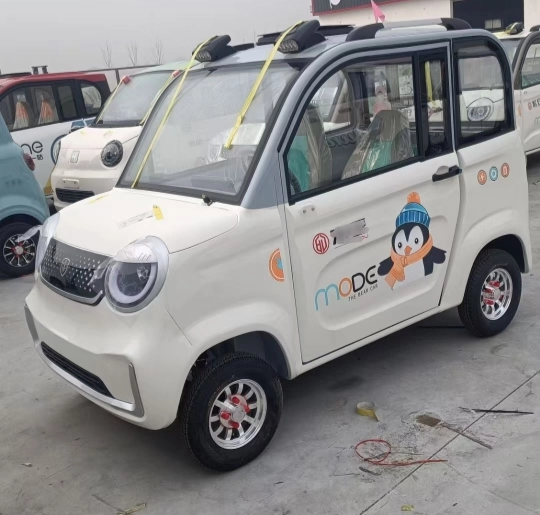 Electric Quad Four Seater Vehicle with Weather Protection and Quiet Drive