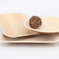 Assiettes carrées jetables en bois biodégradables écologiques, plateaux en bois pour pique-nique, camping, barbecue, dessert, fruits, bento