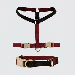 Ensemble de harnais pour chien en coton de luxe réglable en forme de Y, couleur personnalisée, avec sac en polaire Sherpa, collier et laisse de luxe pour chien - Product Image 3