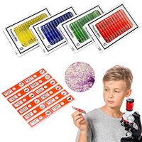 Juego de Portaobjetos de Microscopio Preparados de Plástico No Eléctricos de Diferentes Tamaños para Niños de Henan, con Especímenes de Animales, Insectos, Plantas y Flores, Monocular
