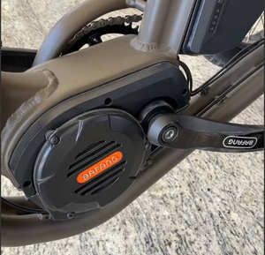 RaiderTrike-C202 20 pouces électrique Ebike <span class=keywords><strong>750W</strong></span> moteur gros pneu 3 roues E vélo Tricycle adulte Cargo vélo électrique avec grand panier - Product Image 4