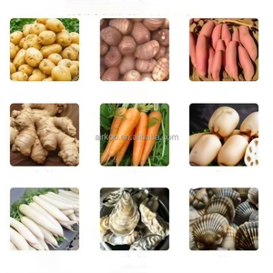 Machine à laver industrielle pour pommes de terre, carottes, gingembre et légumes, <span class=keywords><strong>prix</strong></span> d'usine, acier inoxydable, haute productivité, usage commercial - Product Image 4