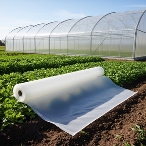 Lámina de Plástico Transparente para Invernadero, 24 x 50 Pies, 6 Mil de Grosor, Resistente a los Rayos UV, para Invernaderos Agrícolas, Cobertura Térmica de Alta Resistencia - Product Image 2