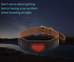 <span class=keywords><strong>Collar</strong></span> LED para mascotas-Subtítulos de desplazamiento-Control DE LA APLICACIÓN-Correr de noche Anti-Pérdida-Mismo estilo que Schnauzer - Product Image 4