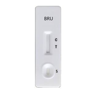 Kit de test rapide d'anticorps Brucella <span class=keywords><strong>Tests</strong></span> de sérum et de plasma Maladie infectieuse Brucellose pour chien chat porc et bovin - Product Image 1