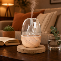 Diffuseur d'arômes en bois véritable en forme d'œuf, 30 ml, lumière RGB 7 couleurs, minuterie, USB-C, cadeau, maison, chambre, OEM, noyer rouge, bois naturel, 50 pièces