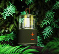Nouvelle Lampe LED Portable Effet Flamme 2026 pour Camping Extérieur avec Haut-Parleur Bluetooth Sans Fil