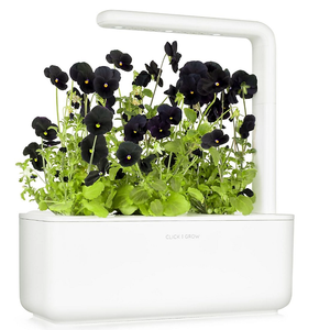 <span class=keywords><strong>Pot</strong></span> de jardin fleuri Pots de fleurs et jardinières Kit petite serre pour la maison pépinière <span class=keywords><strong>en</strong></span> plastique Design sol utilisation Type de paquet - Product Image 6