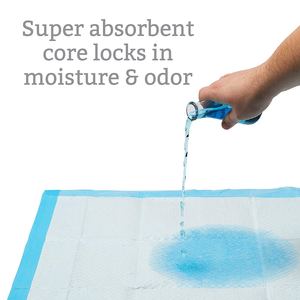 2024 מכירה חמה סופר סופג אספקה יבשה מהירה לחיות מחמד כלבים פיפי רפידות אימון עבור כרית גור - Product Image 5