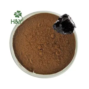 Hochwertiges Shilajit-Harzex trakt Natürliches Pulver Shilajit-Extrakt 40% Fulvinsäure-Pulver