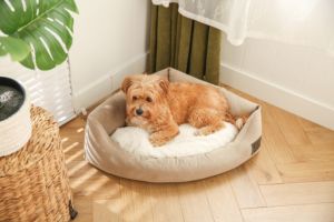 <span class=keywords><strong>Coussin</strong></span> d'angle triangulaire amovible et lavable en <span class=keywords><strong>velours</strong></span> côtelé doux pour chiens et chats d'intérieur - Product Image 2