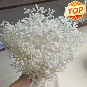 Ghirlande Decorative di Fiori e Piante, Fiori Conservati, Mini Bouquet di Gypsophila Bianca Essiccata per Decorazioni Domestiche - Product Image 1