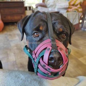 Aangepaste Gepersonaliseerde Pvc Gecoate Hond Snuit Open Neus En Traktatie Gat Voor Gevoelige Honden Gemaakt Van Duurzaam Plastic - Product Image 3