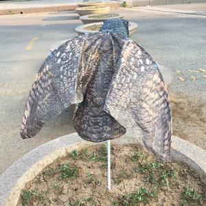 Meilleure Vente : Effaroucheur d'Oiseaux en Plastique 3D, Fausse Guêpe de <span class=keywords><strong>Chouette</strong></span> pour Jardin, Cour et Décoration de Maison - Product Image 5
