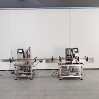 Machine de remplissage et de bouchage automatique haute viscosité pour pâtes nettoyantes, sauces et ketchup