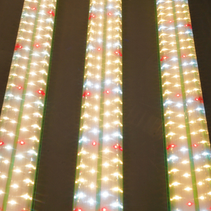 Lámpara de Cultivo LED de Espectro Completo, Tubo de Luz de Cultivo de 1200 mm para Cultivo Interior de Verduras, Frutas, Horticultura - Product Image 2