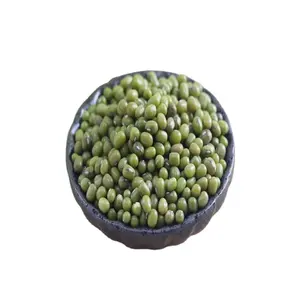 Wholesale High-quality Organic Dried Mung Beans With A Convenient Way To Eat